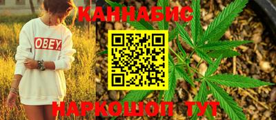 сатива Моздок