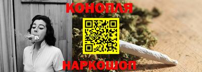 сатива Моздок