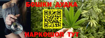сатива Моздок
